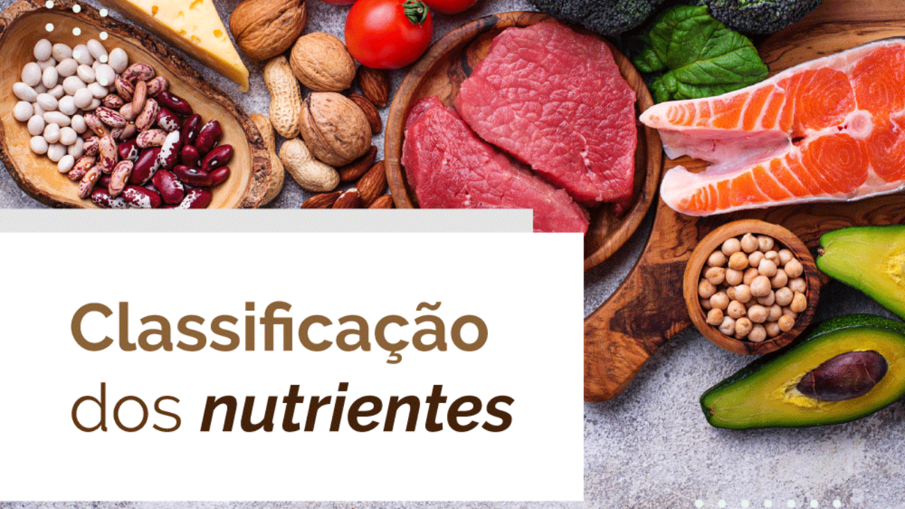 03-03---Classificação-dos-nutrientes