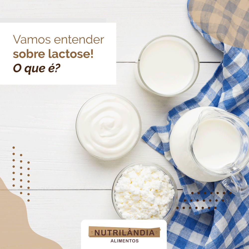 Vamos entender sobre lactose! O que é? - Nutrilândia Alimentos